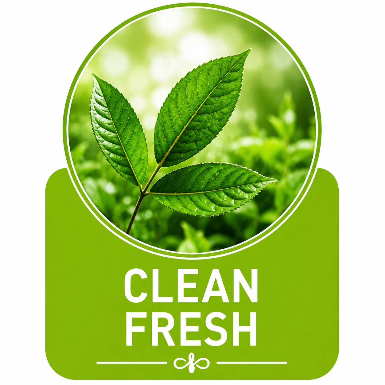 Clean Fresh