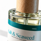 Salt & Seaweed Marine Fragrance